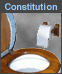 Constitution